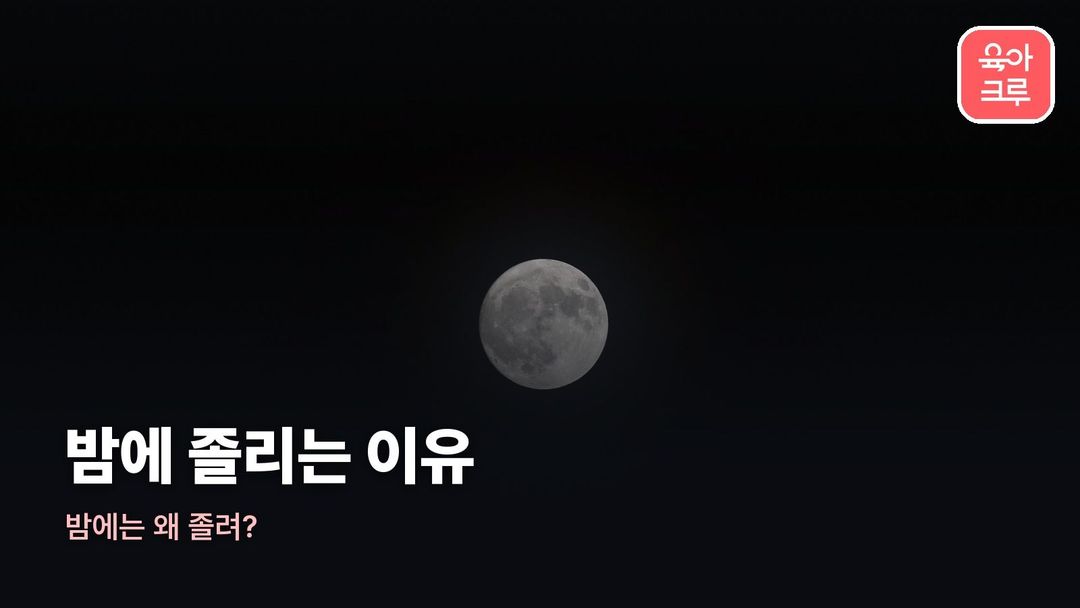 밤에 졸리는 이유 커버 사진