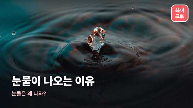 눈물이 나오는 이유 커버 사진