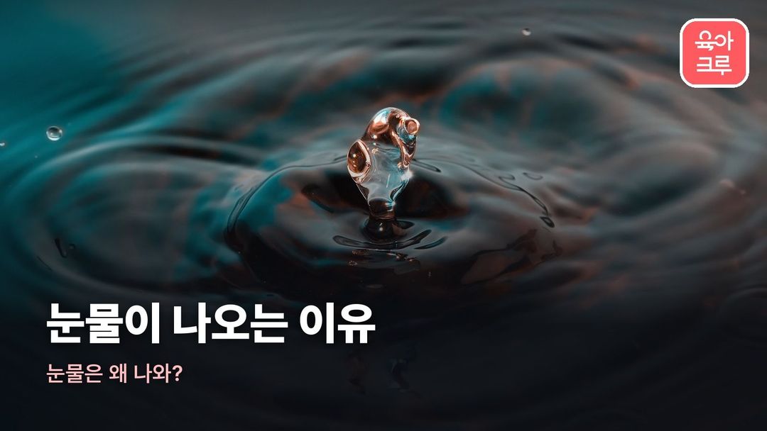 눈물이 나오는 이유 커버 사진