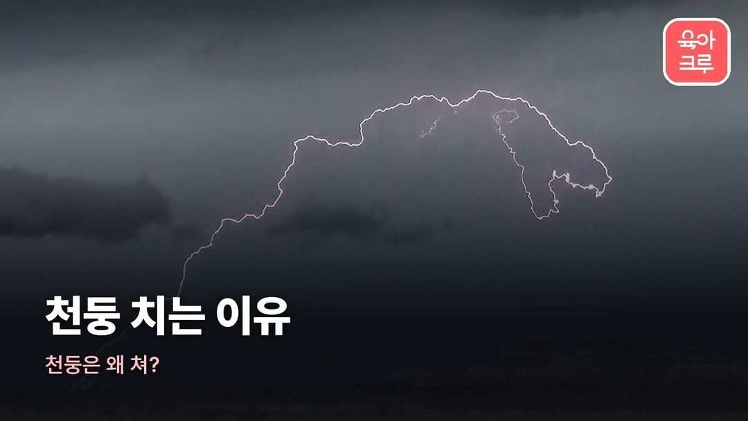 천둥 치는 이유 커버 사진