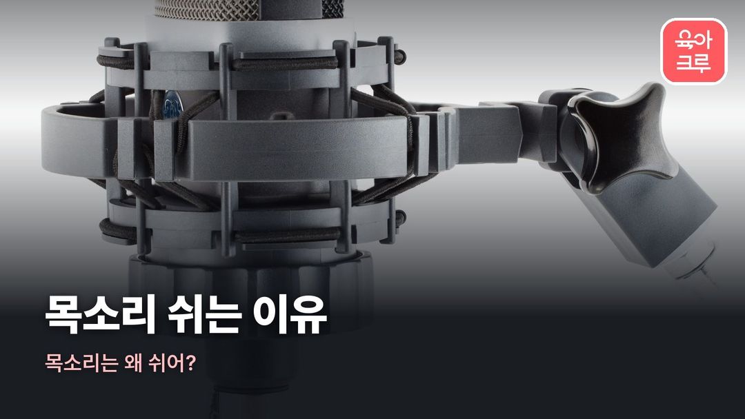 목소리 쉬는 이유 커버 사진