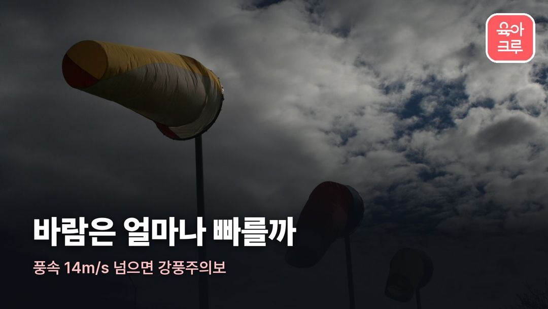 바람 세기 커버 사진