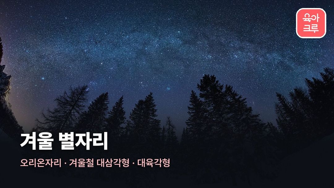 겨울 별자리 커버 사진