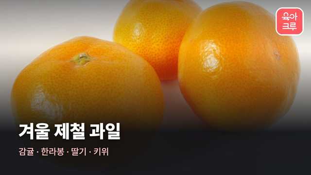 겨울 제철 과일 커버 사진