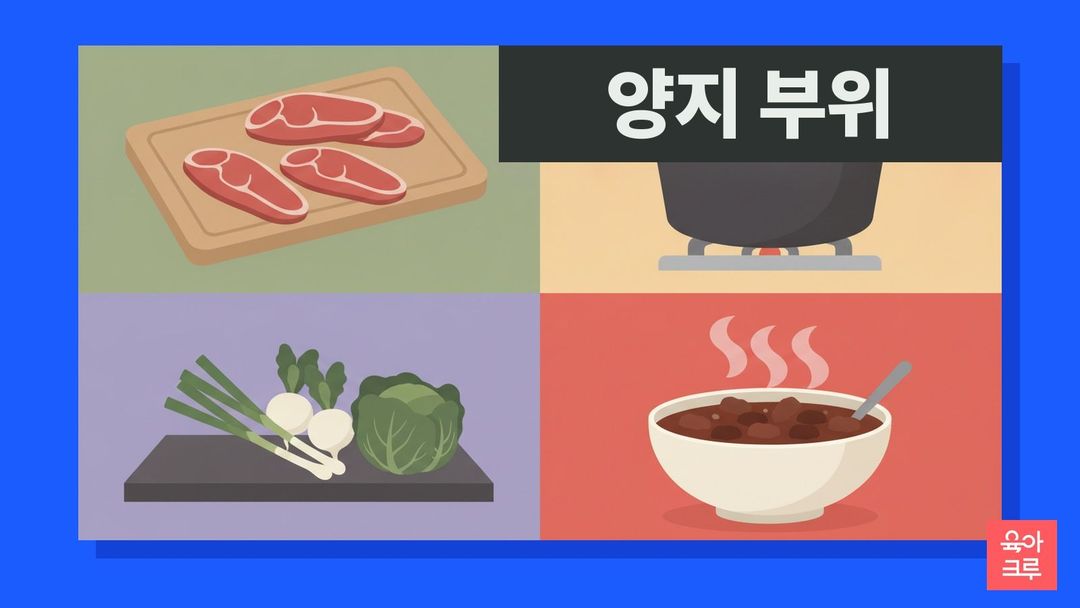 양지 부위 일러스트