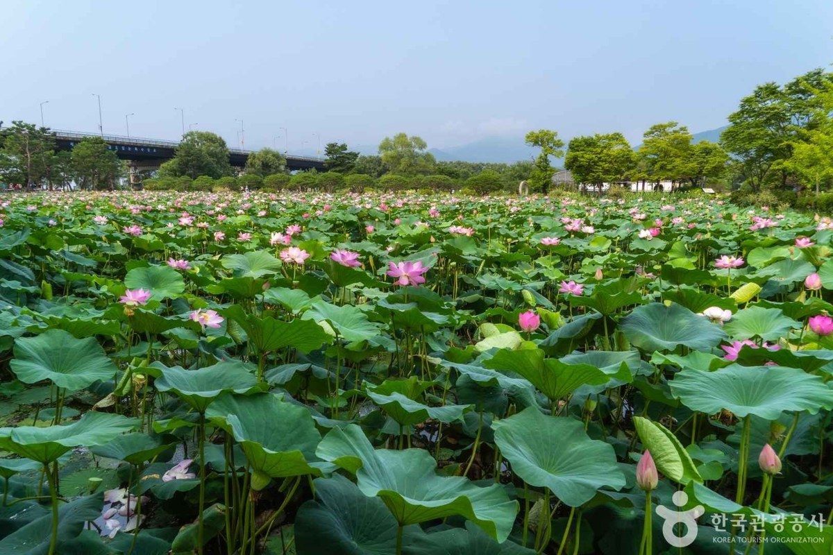 세미원 전경