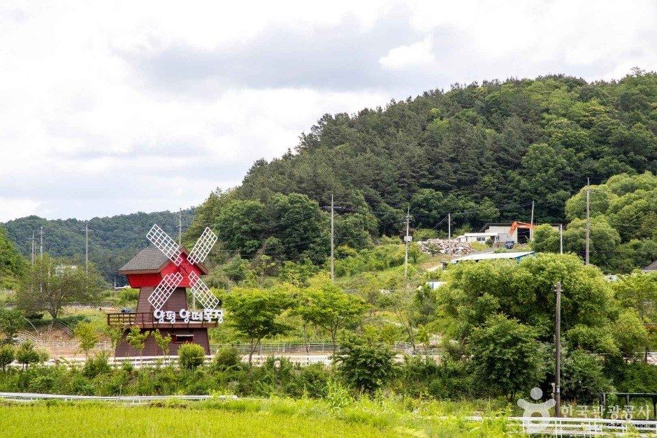 양평양떼목장 전경