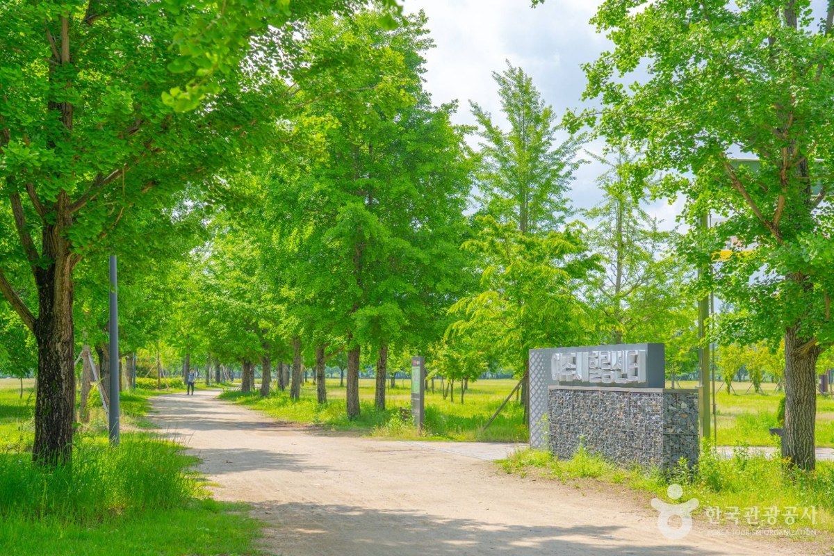 강천섬 전경
