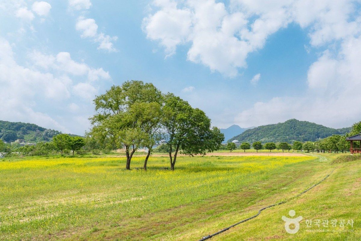 당남리섬 전경
