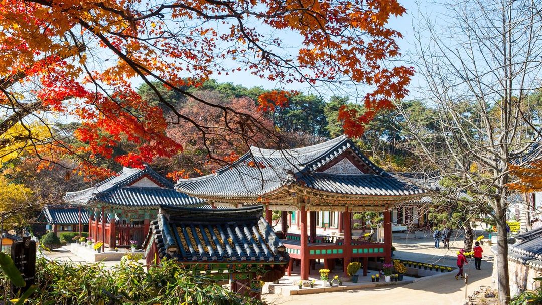 여주 가을 가볼만한곳 신륵사