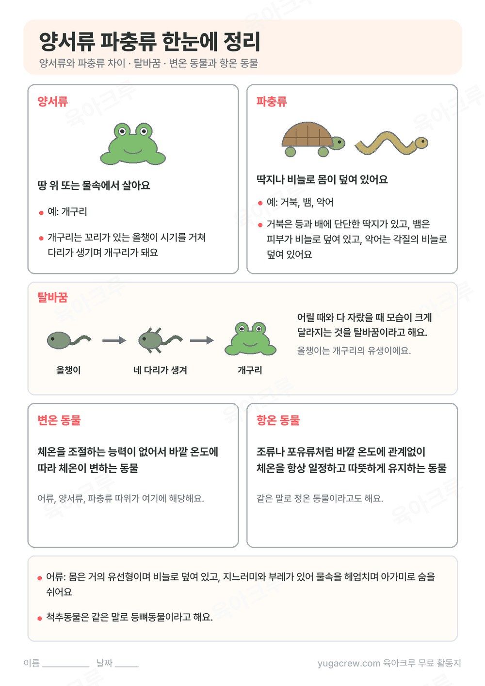 개구리와 거북, 뱀 그림으로 양서류와 파충류를 견주고 올챙이가 개구리가 되는 탈바꿈을 정리한 A4 학습지