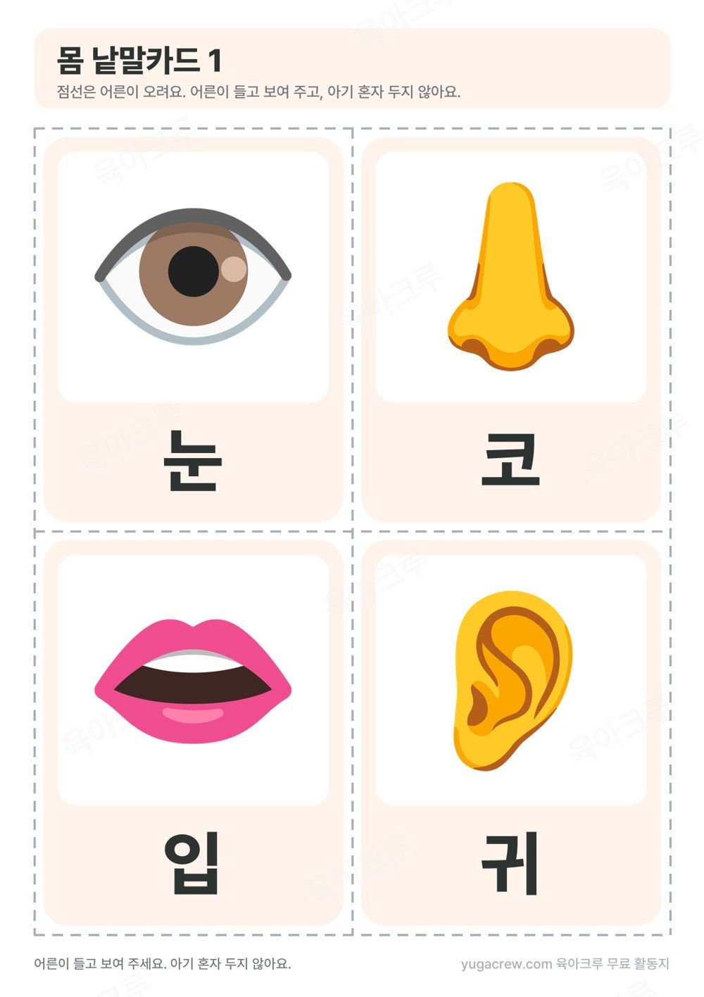 몸 낱말카드 눈 코 입 귀 그림 카드 네 장