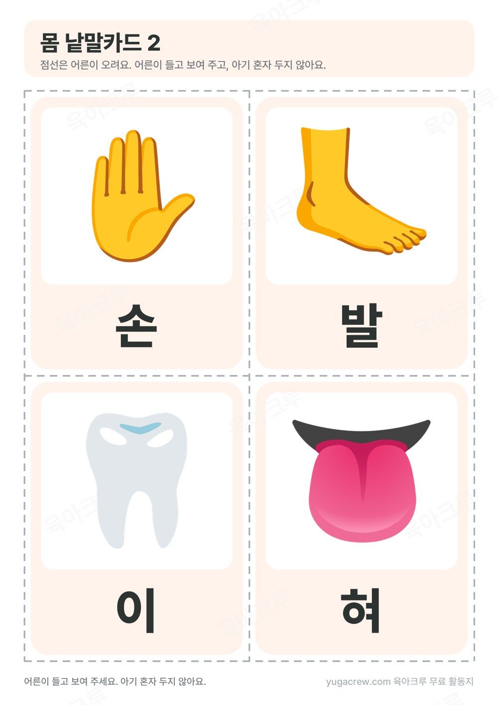 몸 낱말카드 손 발 이 혀 그림 카드 네 장