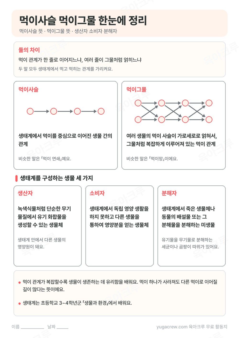 한 줄로 이어진 먹이사슬과 그물처럼 얽힌 먹이그물 그림, 생산자 소비자 분해자 뜻을 정리한 A4 학습지