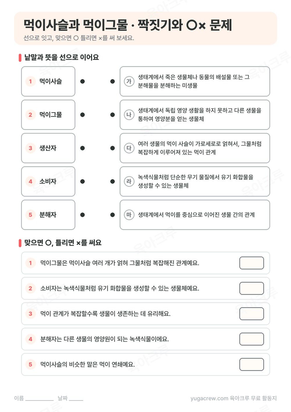 먹이사슬, 먹이그물, 생산자, 소비자, 분해자를 뜻과 선으로 잇는 문제와 ○× 문제