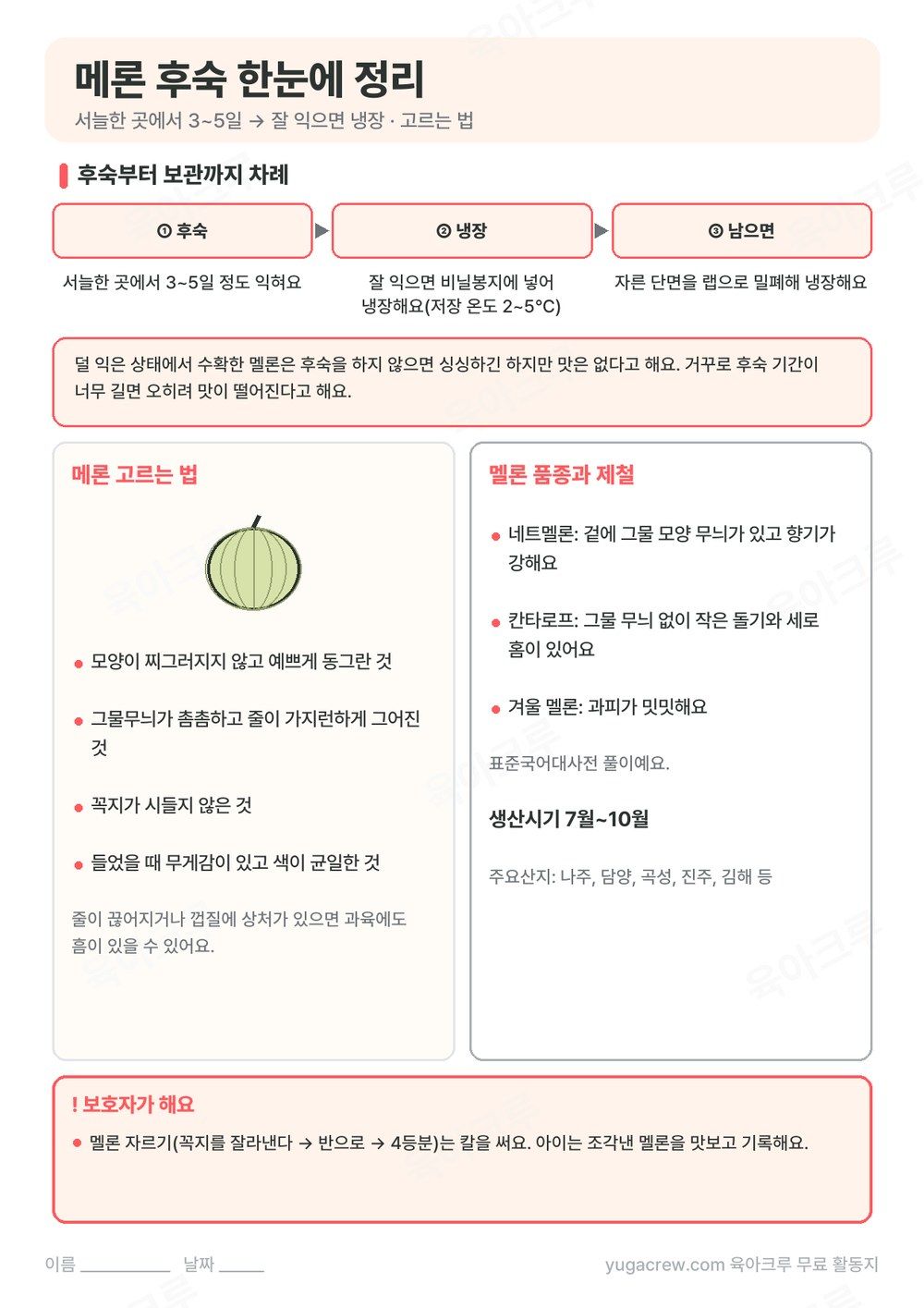메론 후숙 3~5일부터 냉장 보관까지 차례와 고르는 법, 품종을 정리한 A4 활동지