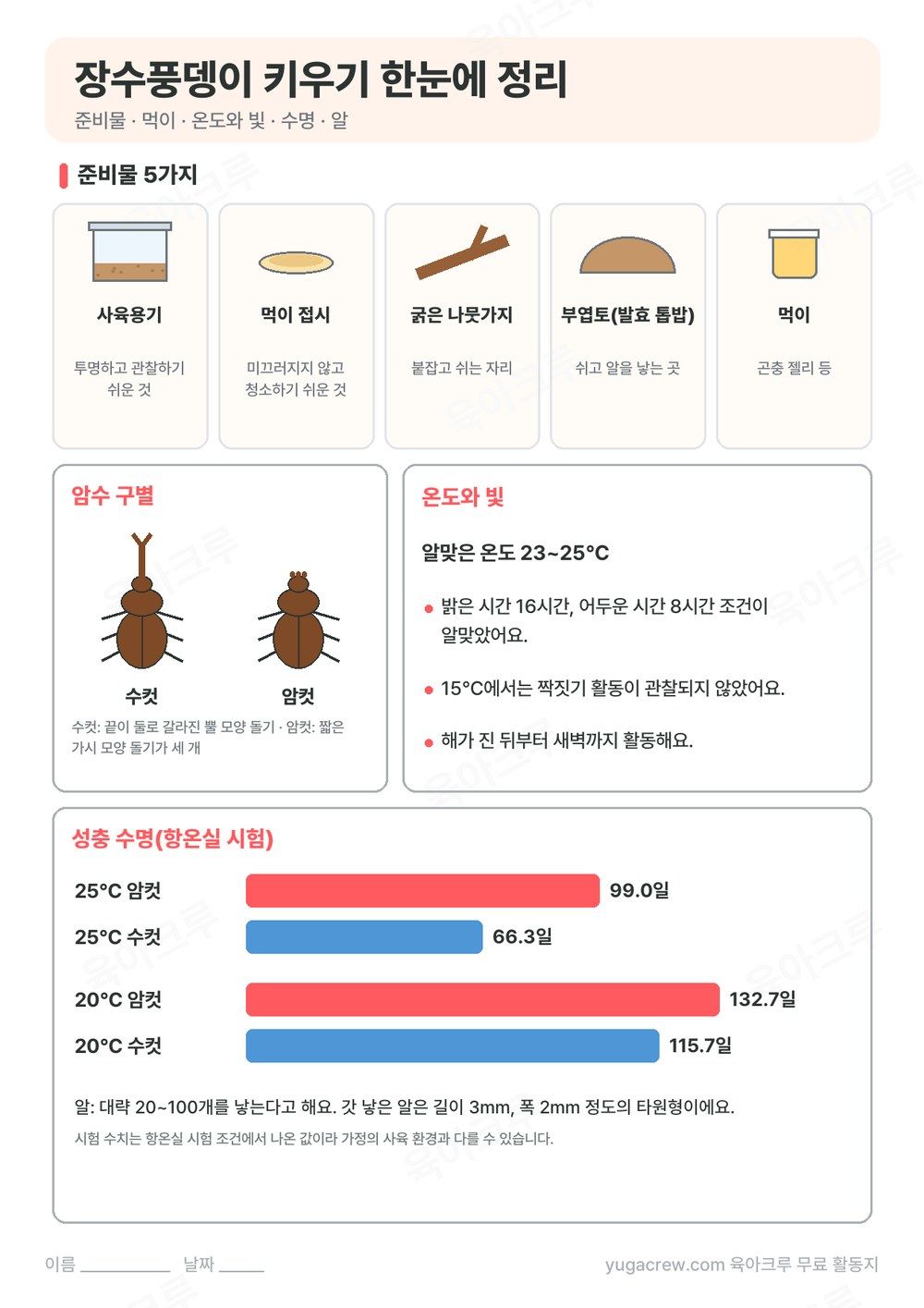 장수풍뎅이 키우기 준비물 5가지와 암수 구별, 온도, 성충 수명 막대그래프를 정리한 A4 학습지