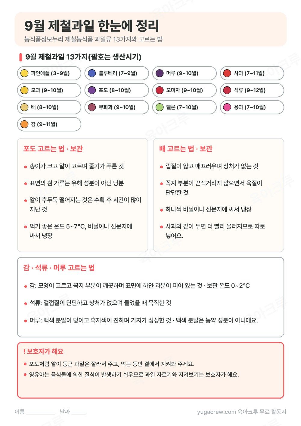 9월 제철과일 13가지와 생산시기, 포도, 배, 감, 석류, 머루 고르는 법을 정리한 A4 활동지