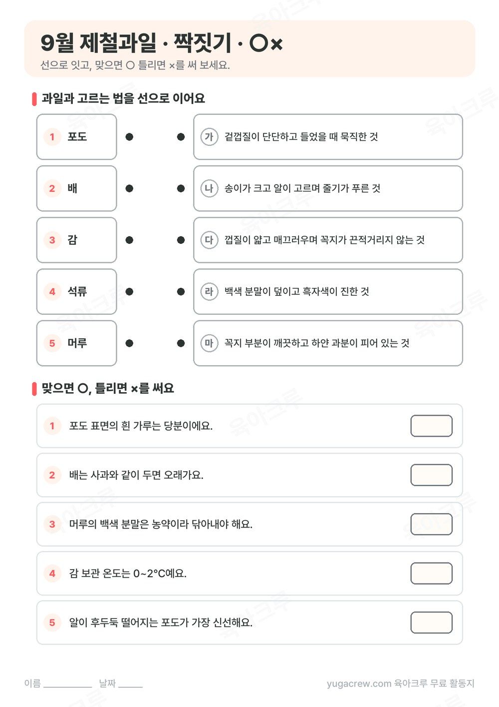 과일과 고르는 법을 잇는 짝짓기 문제와 ○× 문제