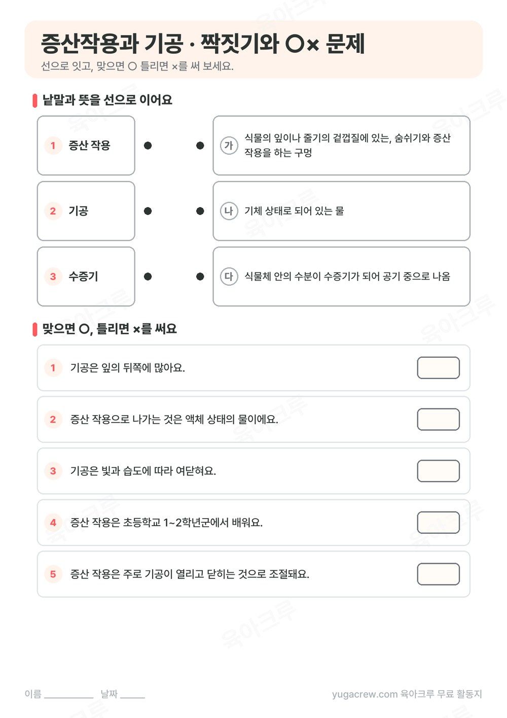 증산 작용, 기공, 수증기를 뜻과 선으로 잇는 문제와 ○× 문제
