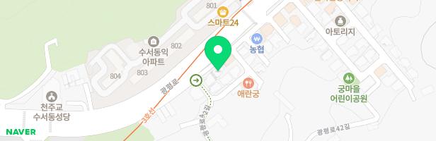 라즈원격교습학원 - 서울특별시 강남구 광평로 224 1층(수서동)