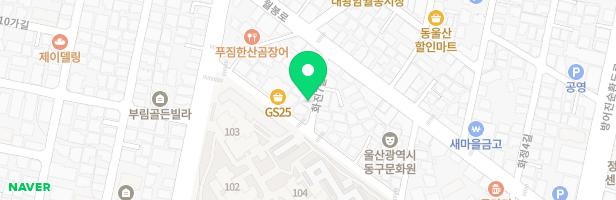 꿈꾸는화가들미술교습소 - 울산광역시 동구 화진7길 8 2층(화정동)