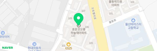 선율의정원플룻전문음악교습소 - 울산광역시 북구 율동2길 8 122동 206호(효문동,효문코오롱하늘채)