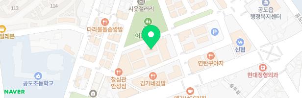 공도 차이나로 중국어 학원 - 경기도 안성시 공도읍 공도3로 9-5 3층 (공도읍)