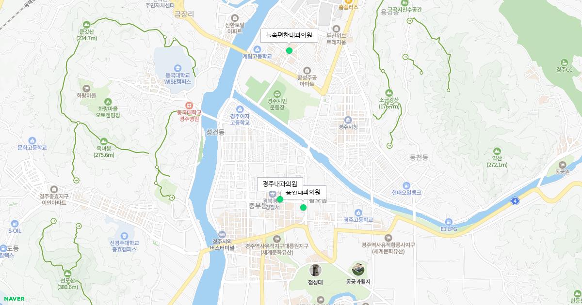 경상북도 경주시 공휴일 내과 병원 정보