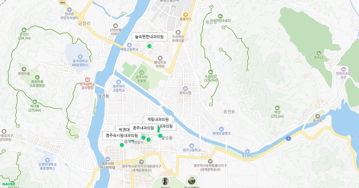 경상북도 경주시 토요일 내과 병원 정보