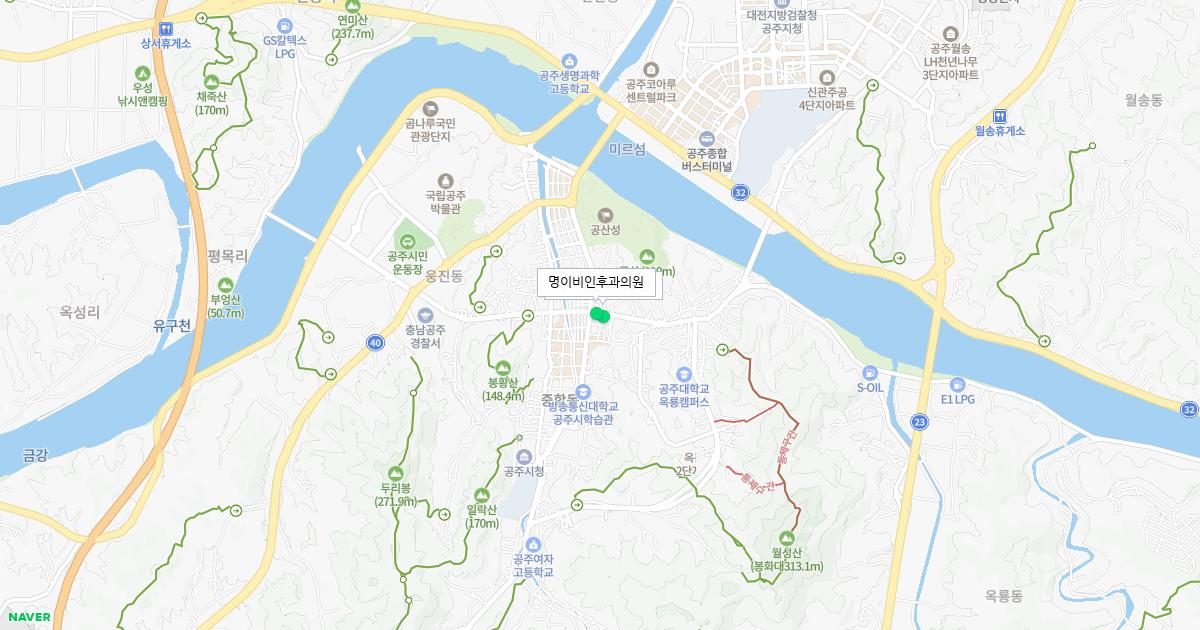 충청남도 공주시 공휴일 이비인후과 병원 정보