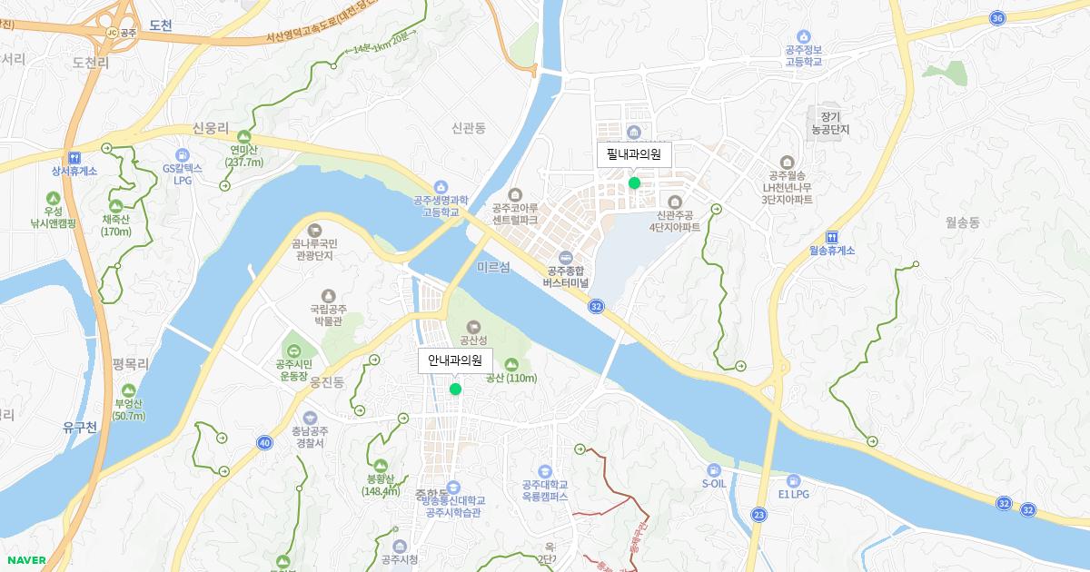 충청남도 공주시 일요일 내과 병원 정보