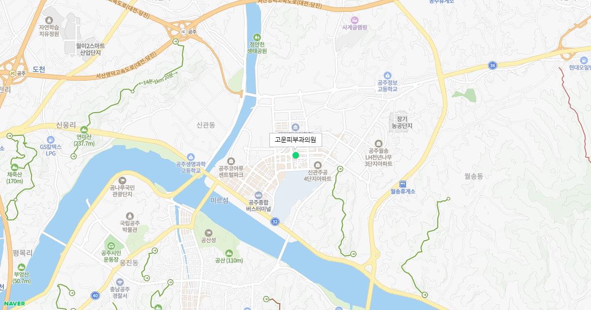 충청남도 공주시 일요일 피부과 병원 정보