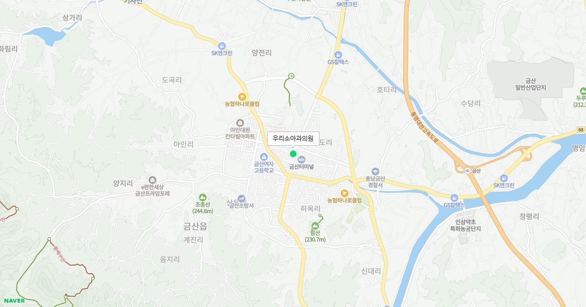 충청남도 금산군 공휴일 소아과 병원 정보