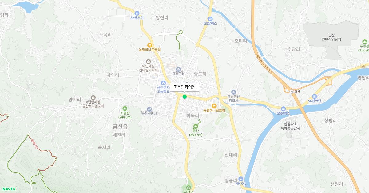 충청남도 금산군 토요일 안과 병원 정보