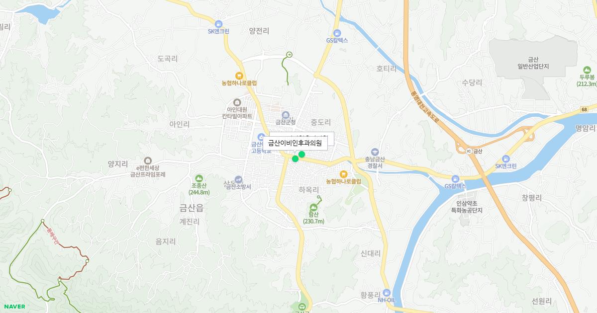 충청남도 금산군 토요일 이비인후과 병원 정보