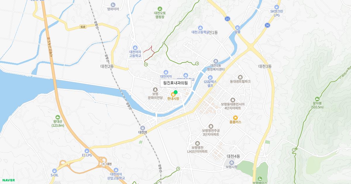 충청남도 보령시 공휴일 내과 병원 정보