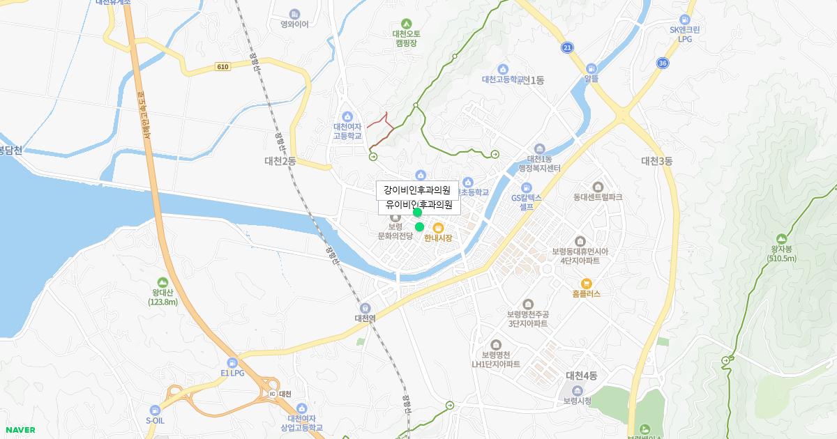 충청남도 보령시 공휴일 이비인후과 병원 정보