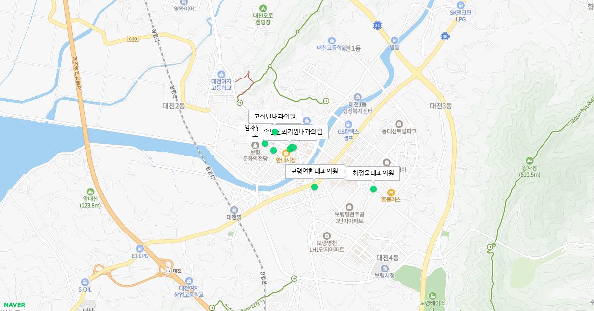 충청남도 보령시 토요일 내과 병원 정보
