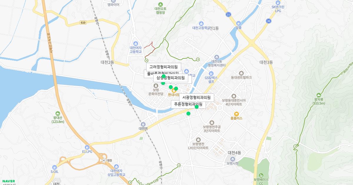 충청남도 보령시 토요일 정형외과 병원 정보