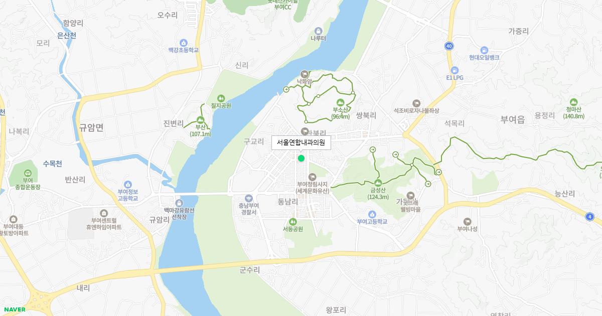 충청남도 부여군 공휴일 내과 병원 정보