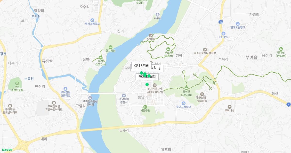 충청남도 부여군 토요일 내과 병원 정보