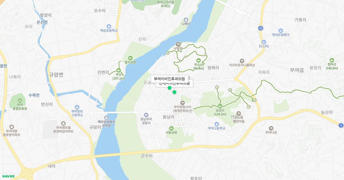 충청남도 부여군 토요일 이비인후과 병원 정보