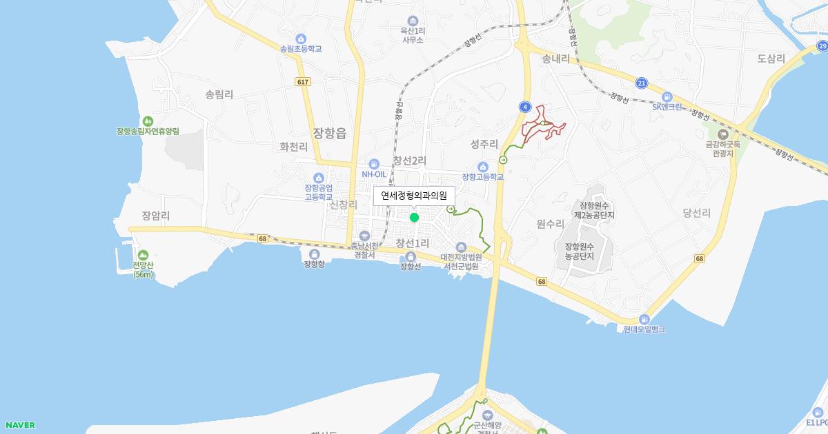 충청남도 서천군 공휴일 정형외과 병원 정보
