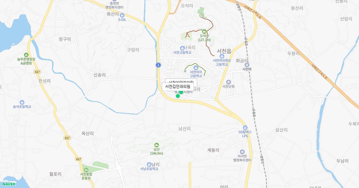 충청남도 서천군 토요일 안과 병원 정보