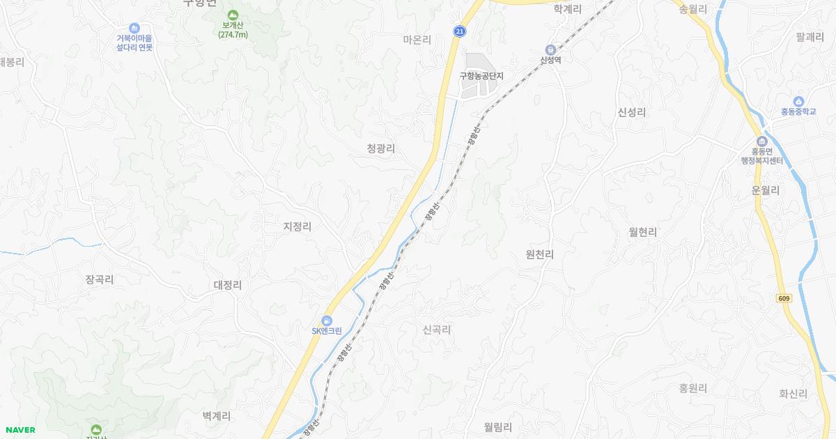 충청남도 홍성군 공휴일 내과 병원 정보