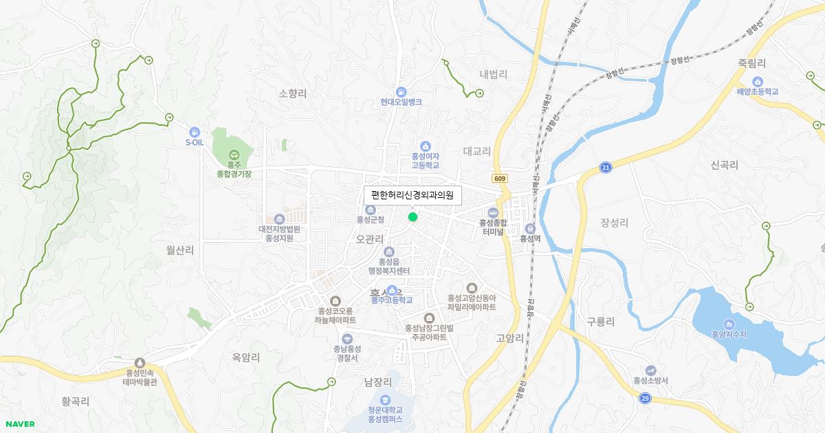 충청남도 홍성군 토요일 신경외과 병원 정보