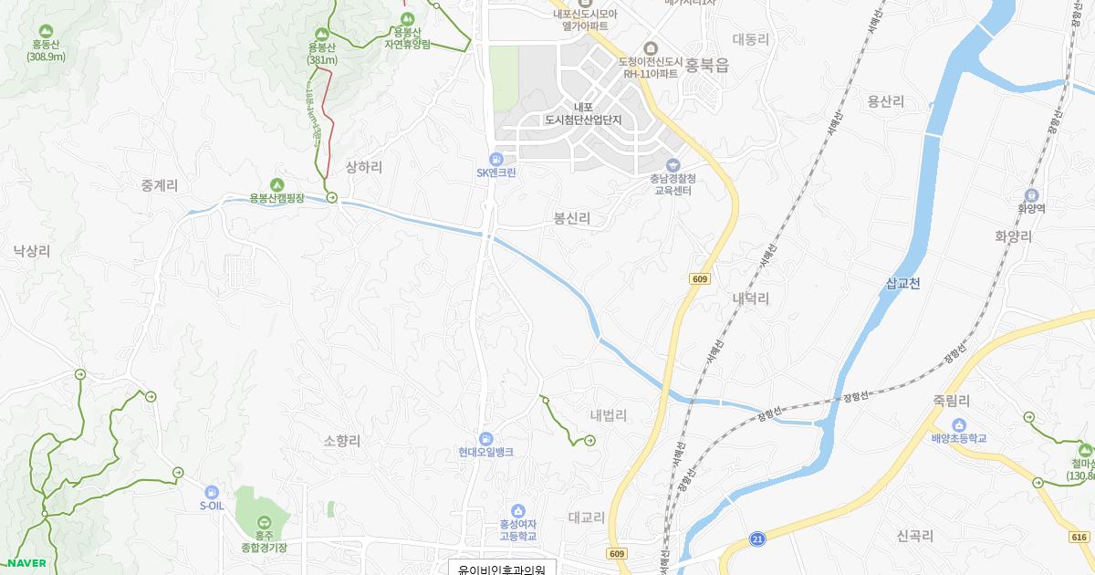 충청남도 홍성군 토요일 이비인후과 병원 정보