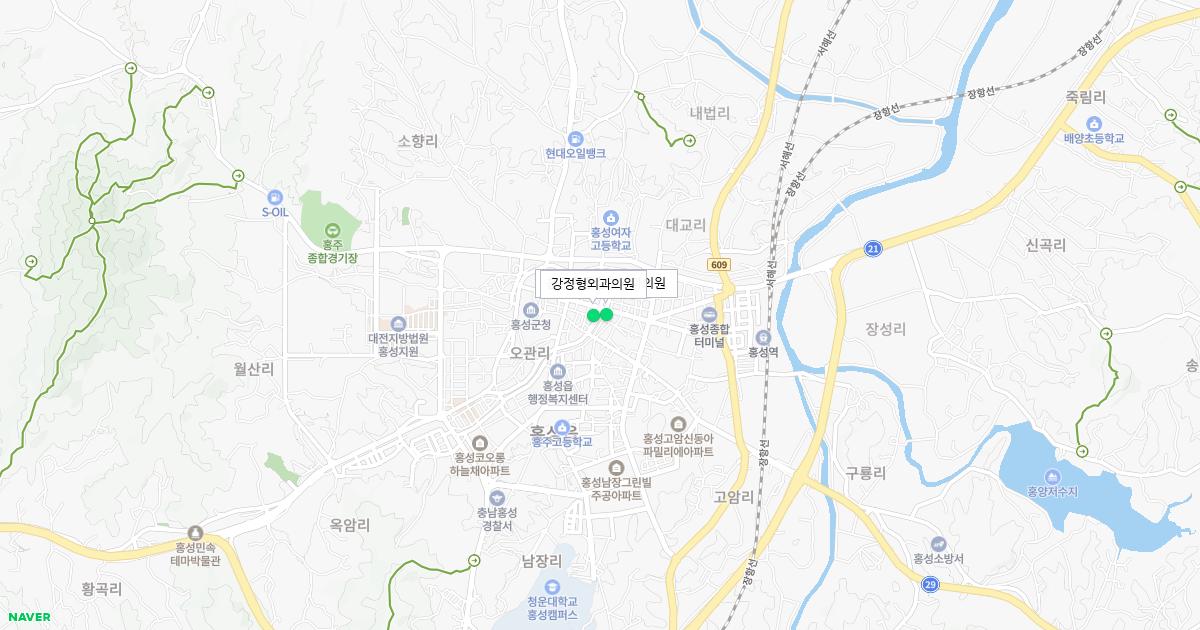 충청남도 홍성군 토요일 정형외과 병원 정보