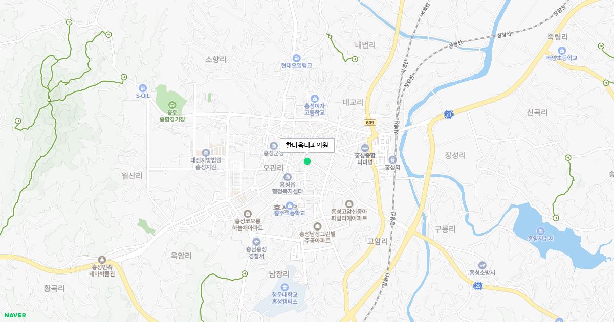 충청남도 홍성군 일요일 내과 병원 정보